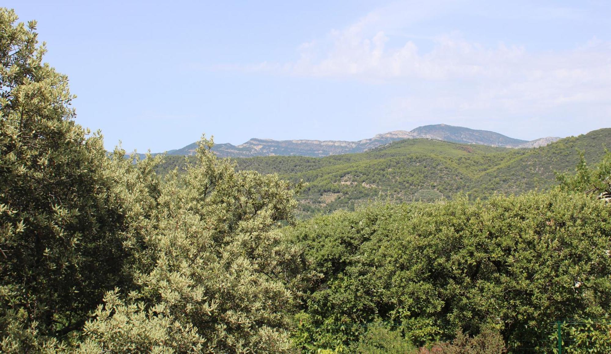 Вилла Le Pas Du Ventoux Mollans-sur-Ouveze Экстерьер фото